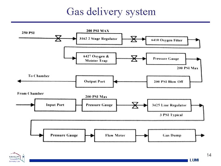 Gas delivery system 14 LUMI 