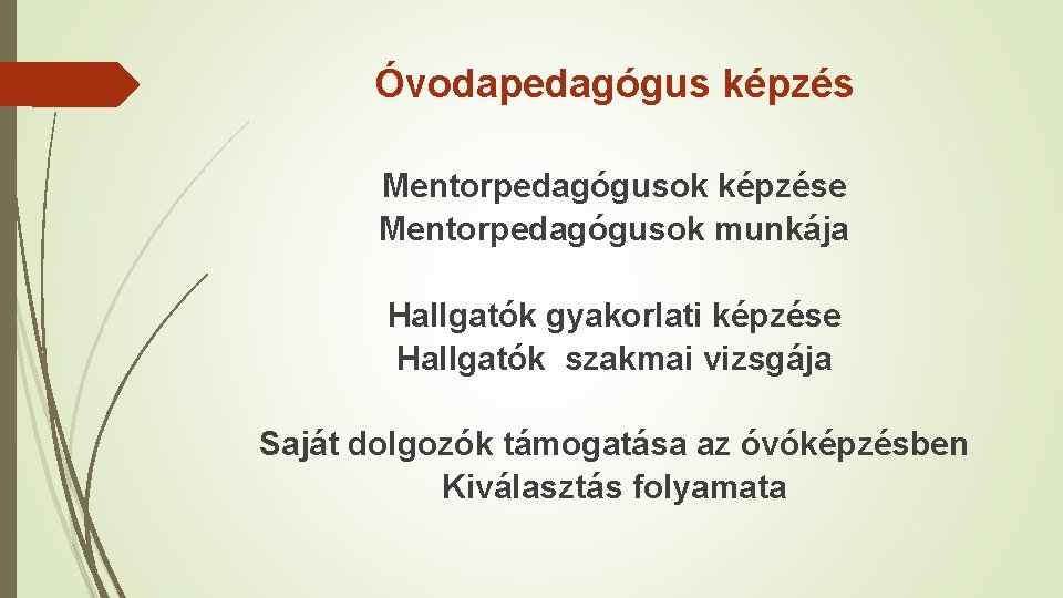 Óvodapedagógus képzés Mentorpedagógusok képzése Mentorpedagógusok munkája Hallgatók gyakorlati képzése Hallgatók szakmai vizsgája Saját dolgozók