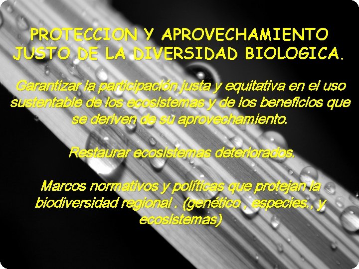 PROTECCION Y APROVECHAMIENTO JUSTO DE LA DIVERSIDAD BIOLOGICA. Garantizar la participación justa y equitativa