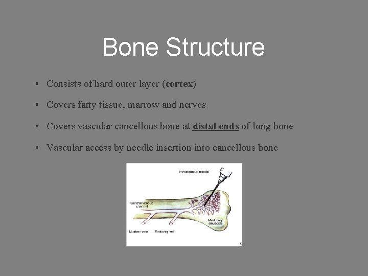 Bone Structure • Consists of hard outer layer (cortex) • Covers fatty tissue, marrow