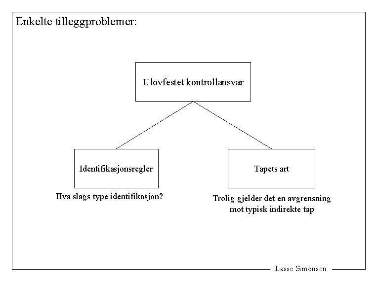 Enkelte tilleggproblemer: Ulovfestet kontrollansvar Identifikasjonsregler Hva slags type identifikasjon? Tapets art Trolig gjelder det