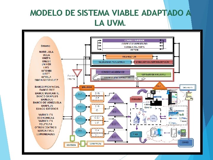 MODELO DE SISTEMA VIABLE ADAPTADO A LA UVM. 