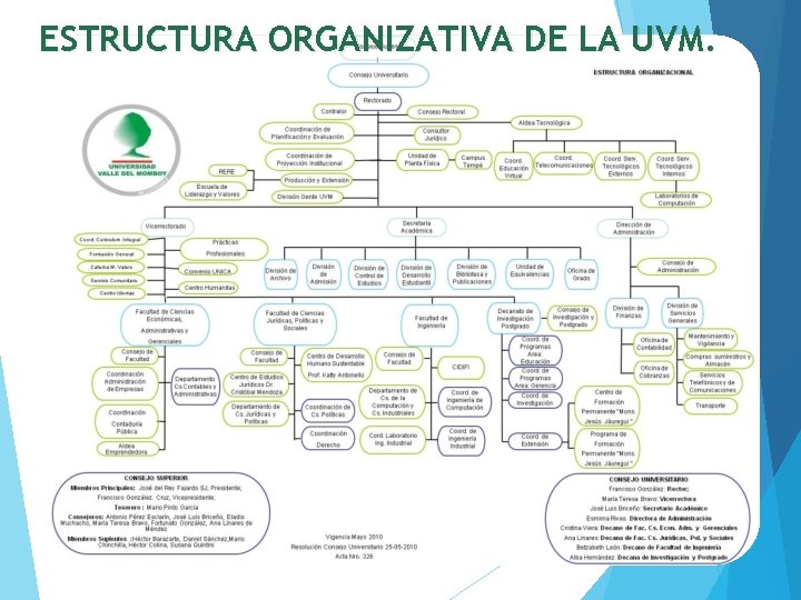 ESTRUCTURA ORGANIZATIVA DE LA UVM. 