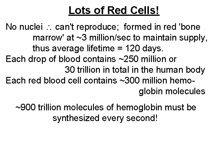 Lots of Red Cells! No nuclei can't reproduce; formed in red 'bone marrow' at