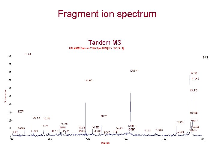Fragment ion spectrum Tandem MS 