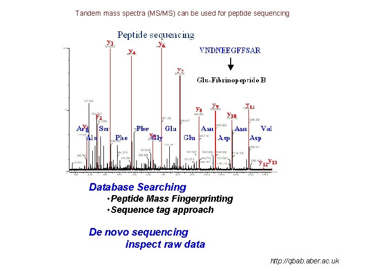 Tandem mass spectra (MS/MS) can be used for peptide sequencing Database Searching • Peptide