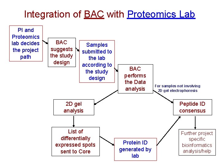 Integration of BAC with Proteomics Lab PI and Proteomics lab decides the project path
