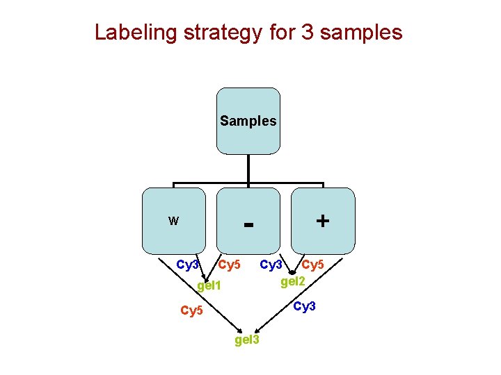 Labeling strategy for 3 samples Samples - W Cy 3 Cy 5 gel 1