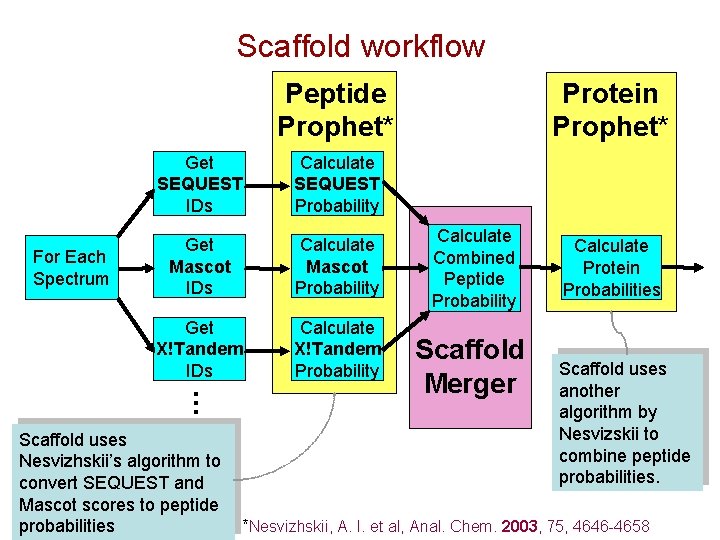 Scaffold workflow Peptide Prophet* Calculate SEQUEST Probability Get Mascot IDs Calculate Mascot Probability Get