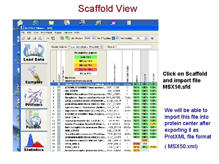 Scaffold View Click on Scaffold and import file MSX 50. sfd We will be