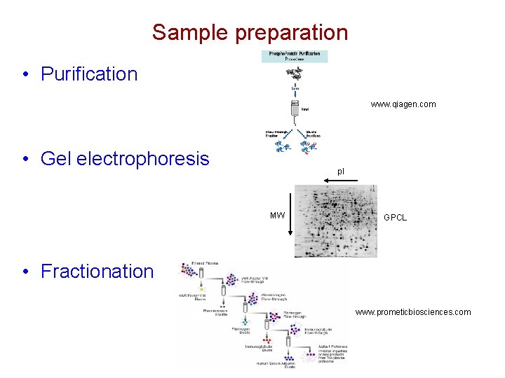 Sample preparation • Purification www. qiagen. com • Gel electrophoresis p. I MW GPCL