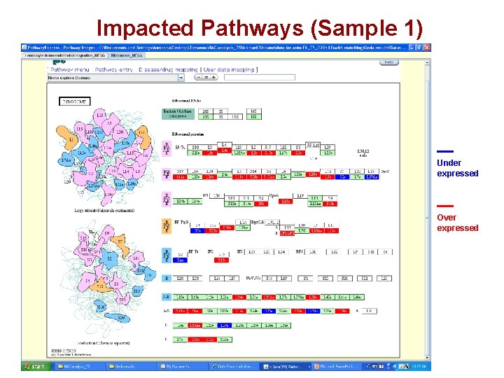 Impacted Pathways (Sample 1) Under expressed Over expressed 