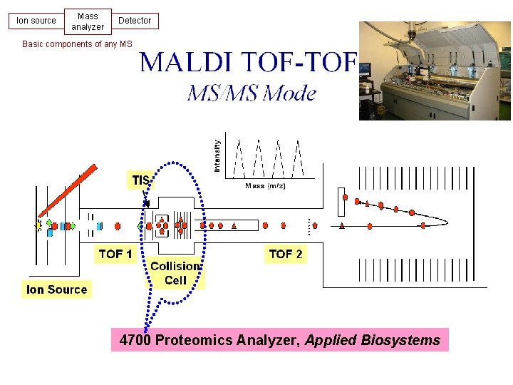 Ion source Mass analyzer Detector Basic components of any MS Tandem MS 4700 Proteomics