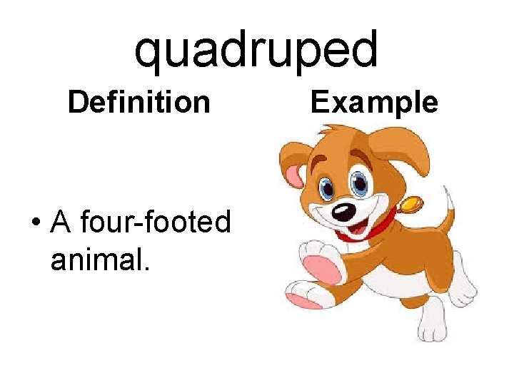 quadruped Definition • A four-footed animal. Example 