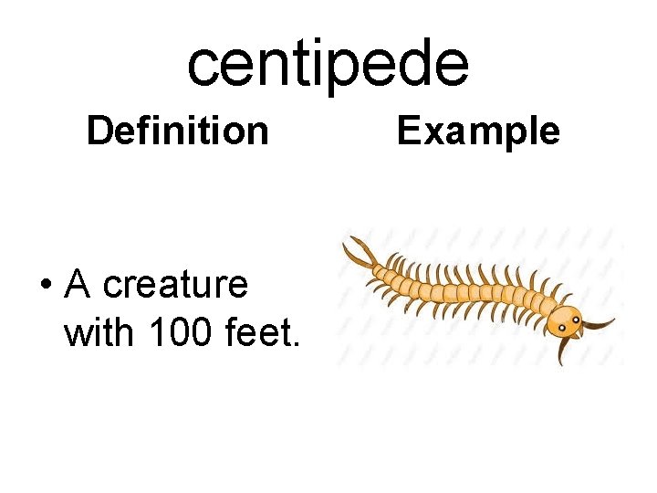 centipede Definition • A creature with 100 feet. Example 