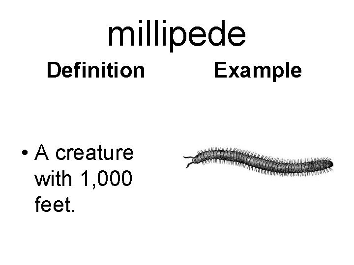 millipede Definition • A creature with 1, 000 feet. Example 