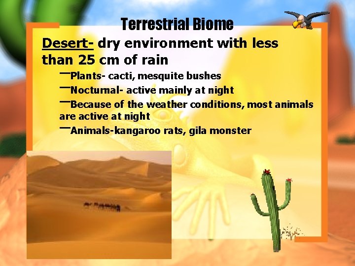 Terrestrial Biome Desert- dry environment with less than 25 cm of rain –Plants- cacti,