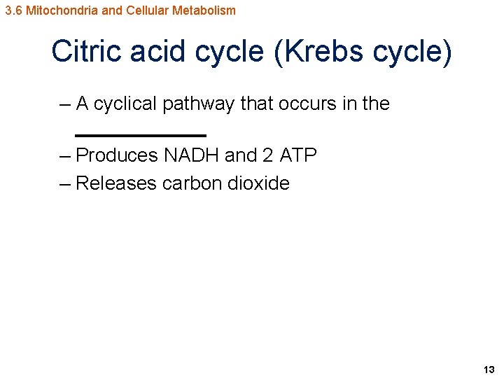 3. 6 Mitochondria and Cellular Metabolism Citric acid cycle (Krebs cycle) – A cyclical