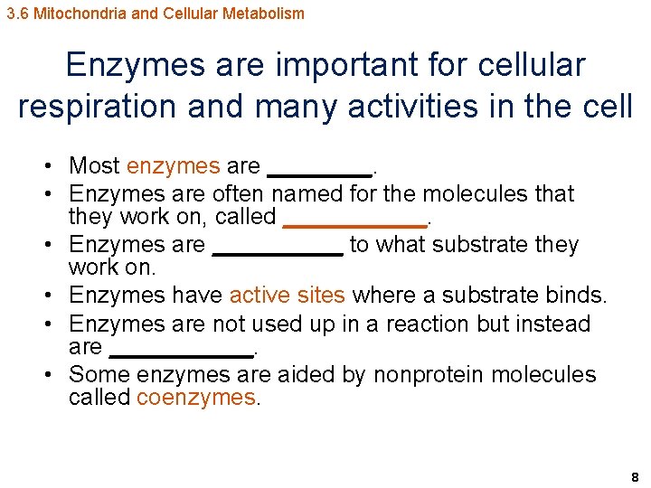 3. 6 Mitochondria and Cellular Metabolism Enzymes are important for cellular respiration and many