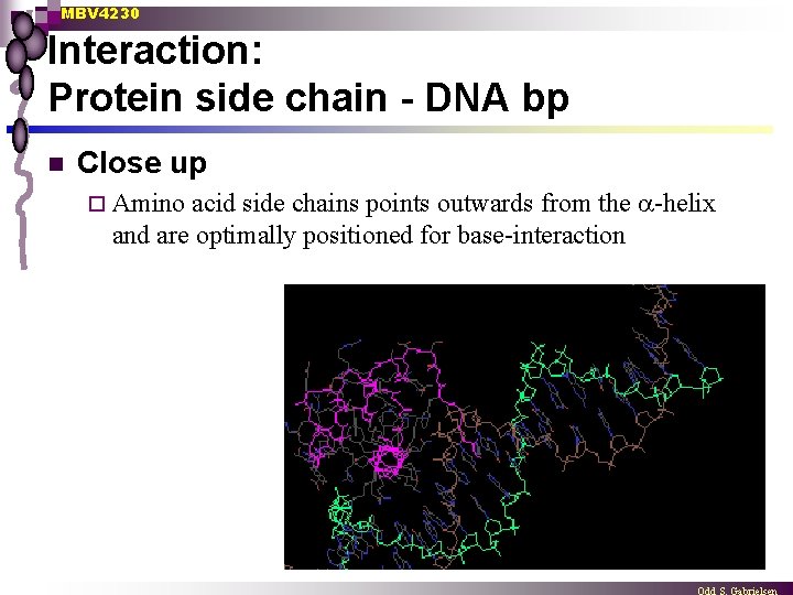 MBV 4230 Interaction: Protein side chain - DNA bp n Close up acid side