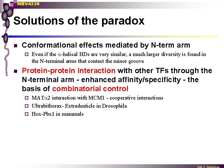 MBV 4230 Solutions of the paradox n Conformational effects mediated by N-term arm ¨