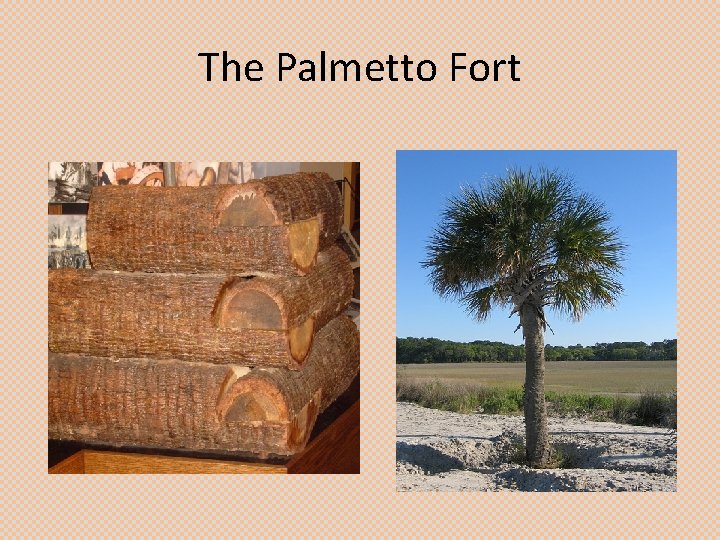 The Palmetto Fort 