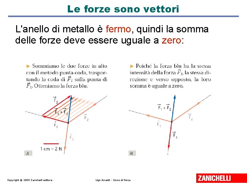 Le forze sono vettori L'anello di metallo è fermo, quindi la somma delle forze