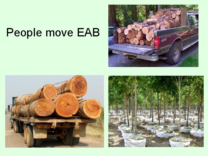 People move EAB 