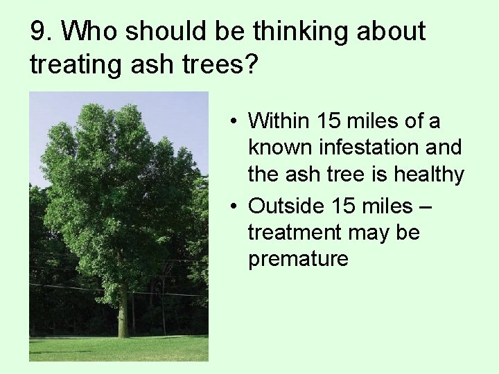 9. Who should be thinking about treating ash trees? • Within 15 miles of