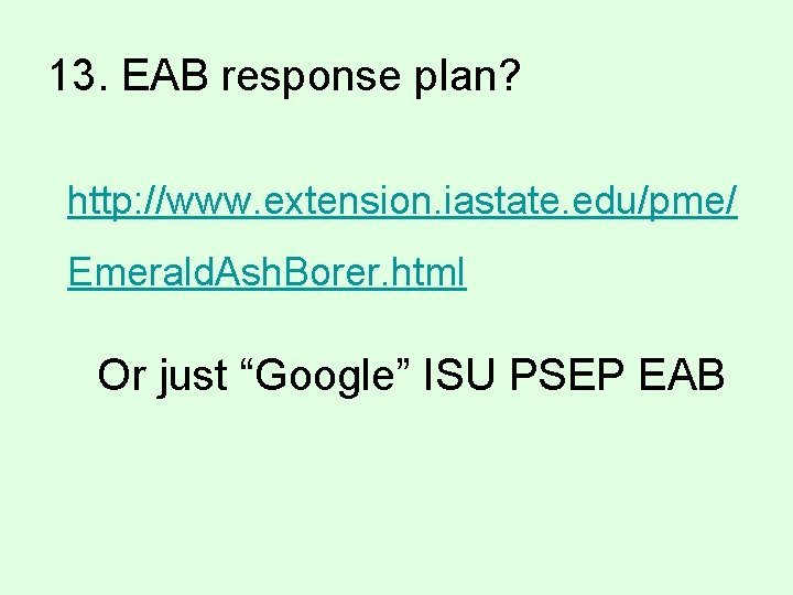 13. EAB response plan? http: //www. extension. iastate. edu/pme/ Emerald. Ash. Borer. html Or