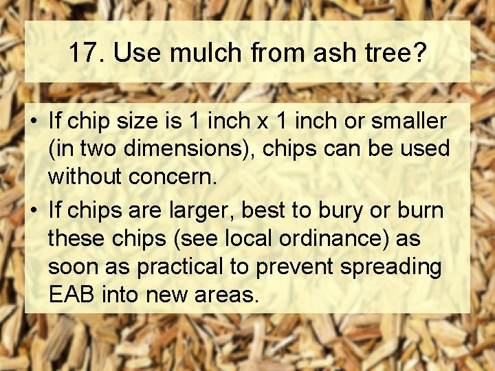 17. Use mulch from ash tree? • If chip size is 1 inch x