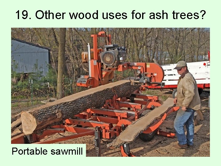 19. Other wood uses for ash trees? Portable sawmill 
