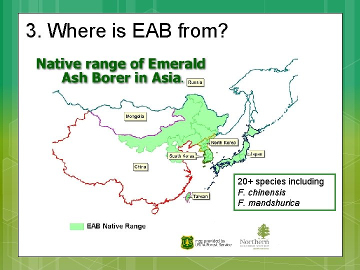 3. Where is EAB from? 20+ species including F. chinensis F. mandshurica 