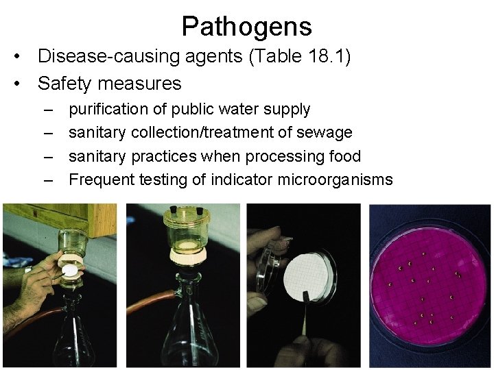 Pathogens • Disease-causing agents (Table 18. 1) • Safety measures – – purification of