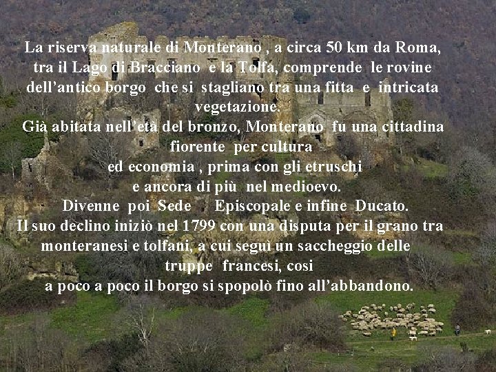 La riserva naturale di Monterano , a circa 50 km da Roma, tra il