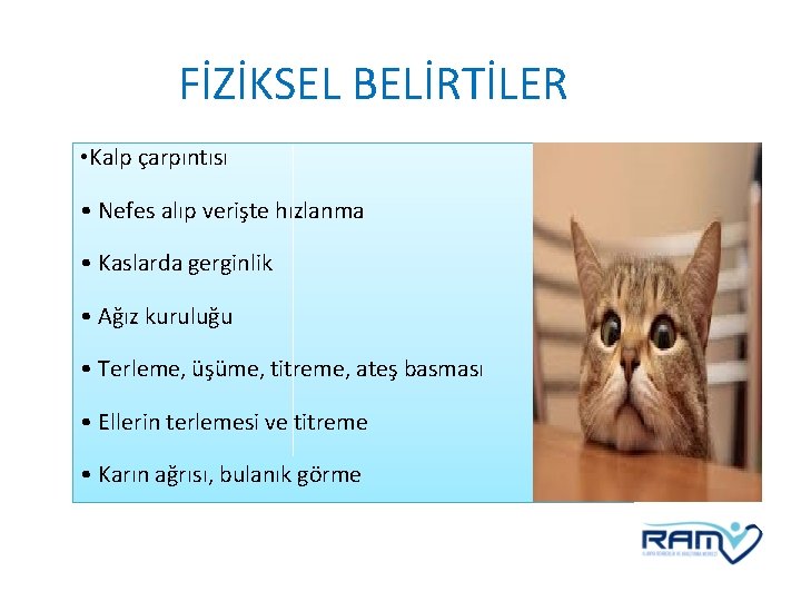 FİZİKSEL BELİRTİLER • Kalp çarpıntısı • Nefes alıp verişte hızlanma • Kaslarda gerginlik •