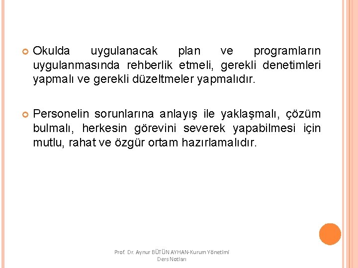  Okulda uygulanacak plan ve programların uygulanmasında rehberlik etmeli, gerekli denetimleri yapmalı ve gerekli
