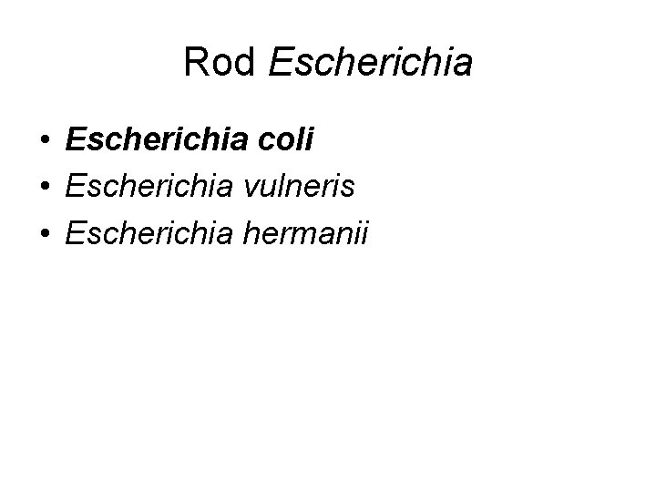 Rod Escherichia • Escherichia coli • Escherichia vulneris • Escherichia hermanii 