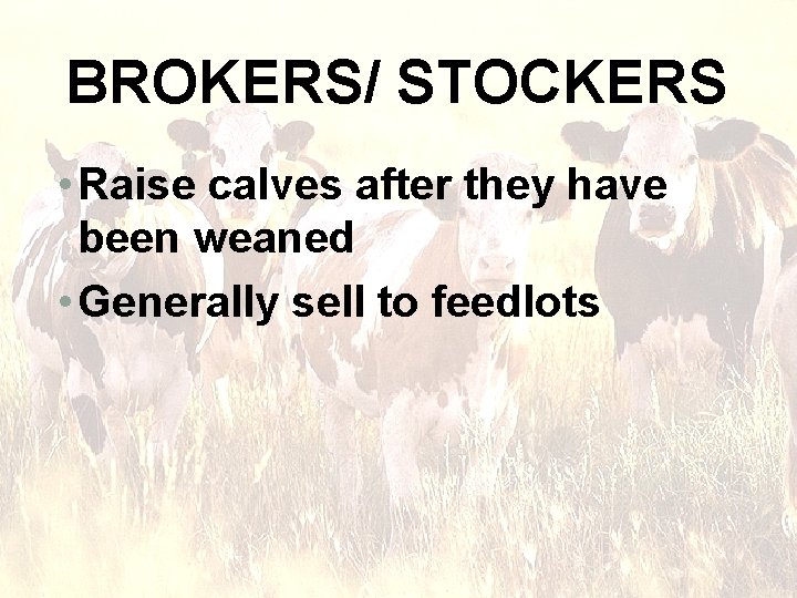 BROKERS/ STOCKERS • Raise calves after they have been weaned • Generally sell to