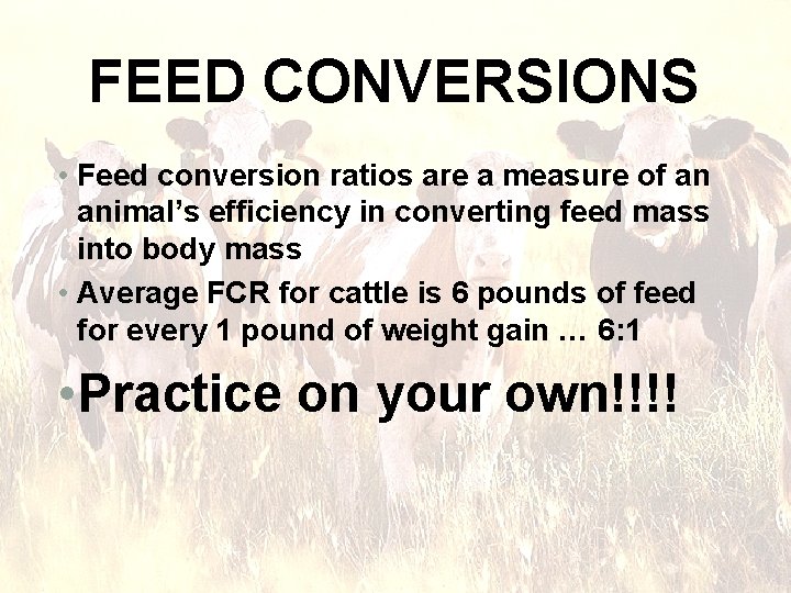 FEED CONVERSIONS • Feed conversion ratios are a measure of an animal’s efficiency in