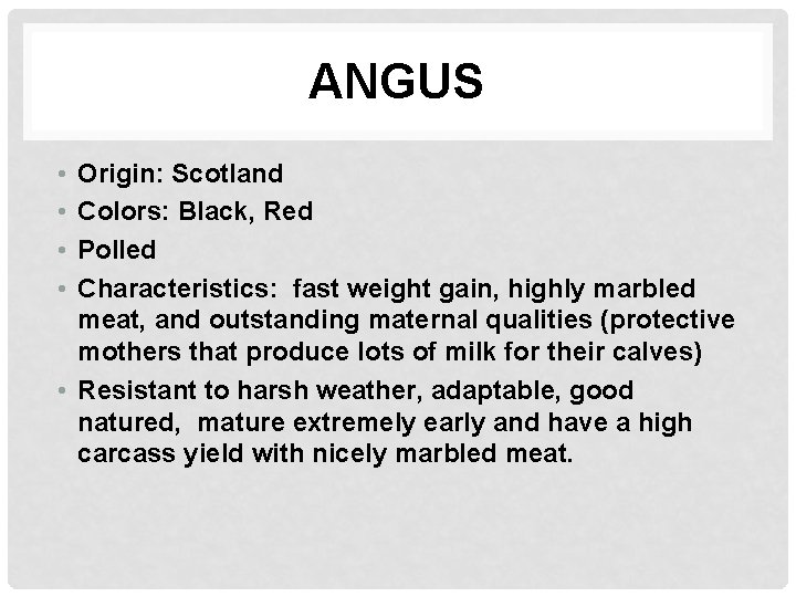 ANGUS • • Origin: Scotland Colors: Black, Red Polled Characteristics: fast weight gain, highly
