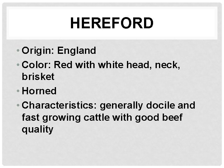 HEREFORD • Origin: England • Color: Red with white head, neck, brisket • Horned