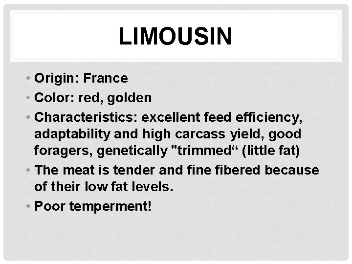 LIMOUSIN • Origin: France • Color: red, golden • Characteristics: excellent feed efficiency, adaptability