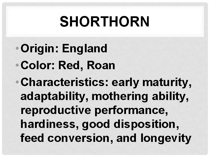 SHORTHORN • Origin: England • Color: Red, Roan • Characteristics: early maturity, adaptability, mothering