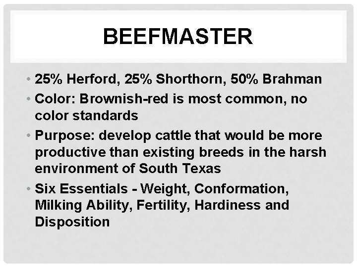 BEEFMASTER • 25% Herford, 25% Shorthorn, 50% Brahman • Color: Brownish-red is most common,