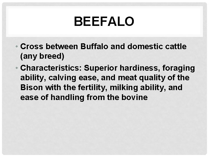 BEEFALO • Cross between Buffalo and domestic cattle (any breed) • Characteristics: Superior hardiness,