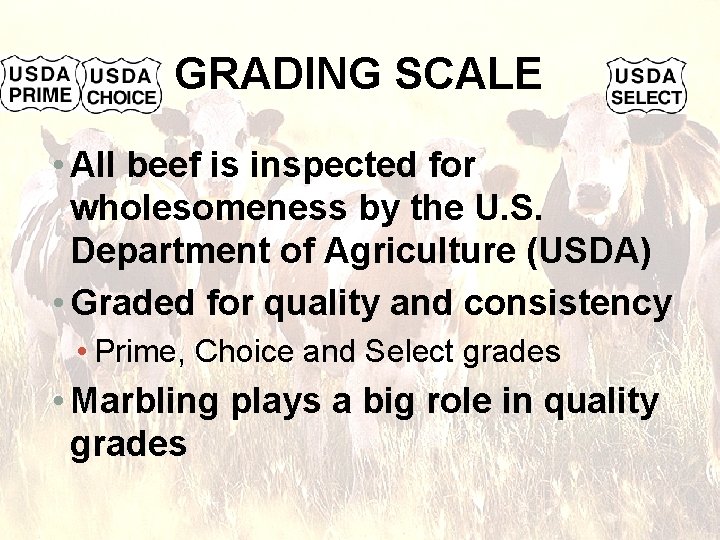 GRADING SCALE • All beef is inspected for wholesomeness by the U. S. Department