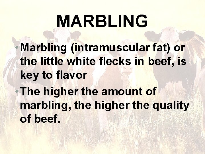MARBLING • Marbling (intramuscular fat) or the little white flecks in beef, is key
