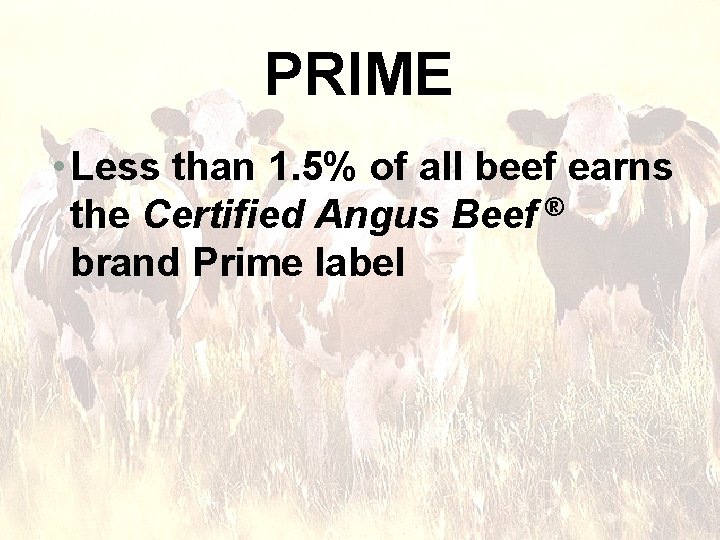 PRIME • Less than 1. 5% of all beef earns the Certified Angus Beef