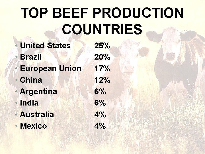 TOP BEEF PRODUCTION COUNTRIES • United States • Brazil • European Union • China TOP BEEF PRODUCTION COUNTRIES • United States • Brazil • European Union • China
